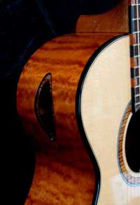 detail of everett guitar soundport