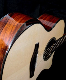 detail of beautiful guitar